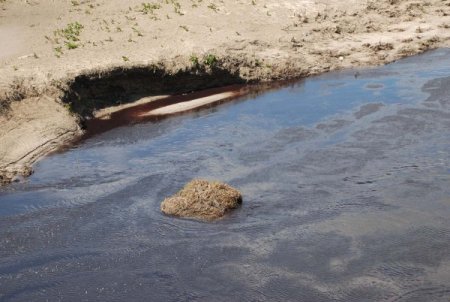 Ergene Nehri'ni Kirleten Fabrikalara Tepki