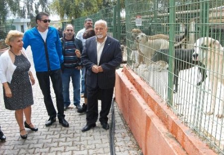 Erkan Petekkaya, hayvan barınağını ziyaret etti