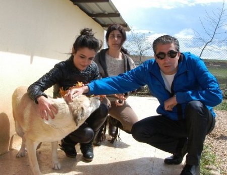 Erkan Petekkaya, hayvan barınağını ziyaret etti