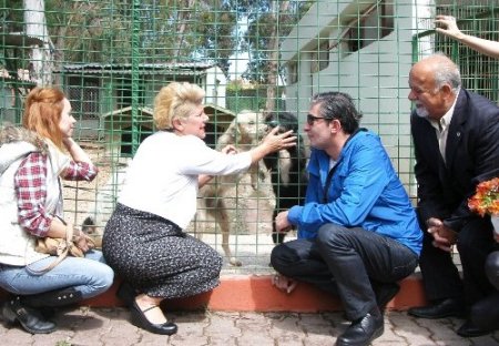 Erkan Petekkaya, hayvan barınağını ziyaret etti