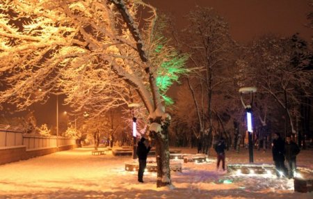 Erzincan kara teslim