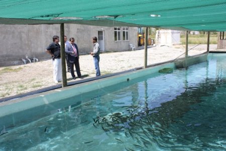 Erzincan’da Alabalık Üretimi Gelişmeye Devam Ediyor