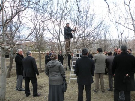 Erzincan’da Budama Sezonu Başladı