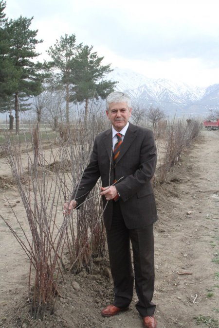 Erzincan’da meyve fidan satışları başladı