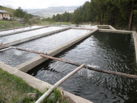 Erzincan’da Su Ürünleri Tesisi Artıyor
