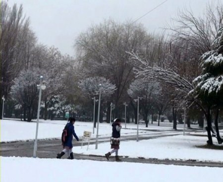 Erzincanlılar güne karla uyandı