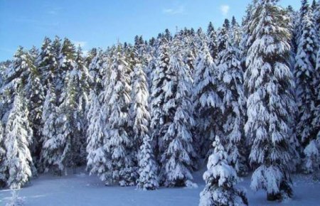 Erzin'e 50 Yıl Aradan Sonra İlk Kez Kar Yağdı, Kartpostallık Görüntüler Oluştu