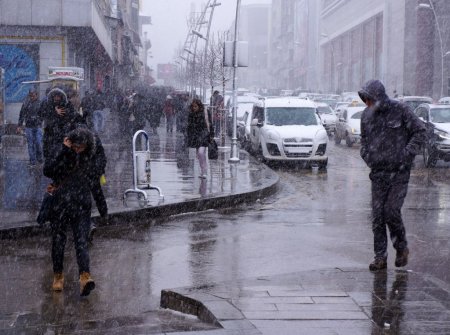 Erzurum bahara beklerken kara teslim oldu