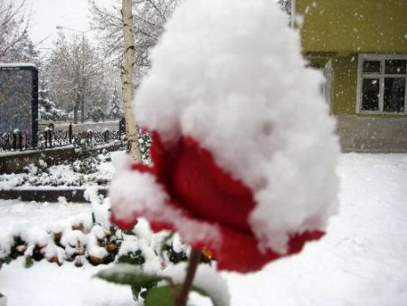 Erzurum Beyaza Büründü, Hava Ve Karayolu Ulaşımı Aksadı
