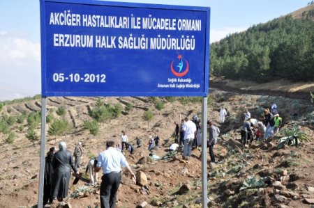 Erzurum'da akciğer hastalıklarına dikkat çekmek için orman oluşturuldu