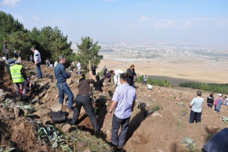 Erzurum'da akciğer hastalıklarına dikkat çekmek için orman oluşturuldu