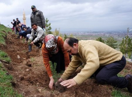 Erzurum'da avukatlar fidan dikti