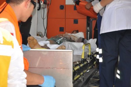 Erzurum’da Ayı Saldırısına Uğrayan Çoban Ağır Yaralandı