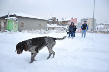 Erzurum’da başlayan kar yağışı aralıklarla devam ediyor
