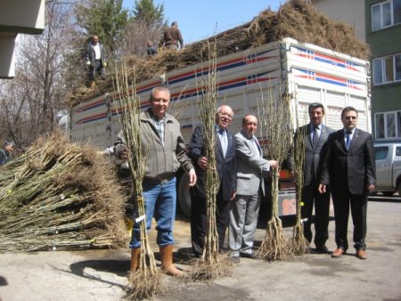 Erzurum'da Çiftçiye 25 Bin Fidan Dağıtıldı