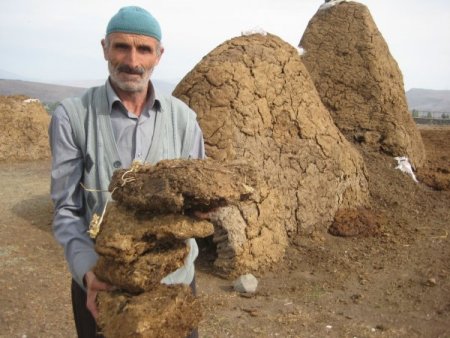 Erzurum'da doğalgaz ve kömüre inat tezekten vazgeçilmiyor (Özel)
