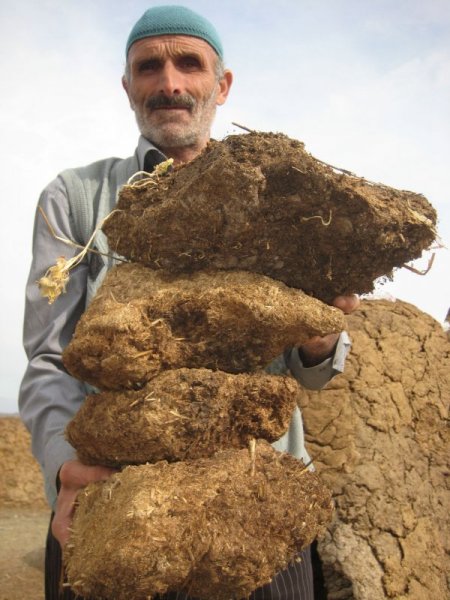 Erzurum'da doğalgaz ve kömüre inat tezekten vazgeçilmiyor (Özel)
