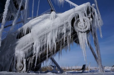 Erzurum'da otomobil ve ağaçlar buz tuttu