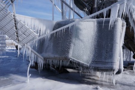 Erzurum'da otomobil ve ağaçlar buz tuttu