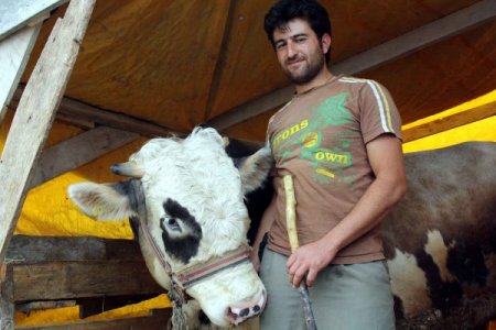 Erzurumlu celep, kurbanlıkları satıp düğün yapacak