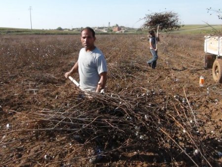Esed zulmünden kaçan Suriyeli aileye, Beşik köyü sahip çıktı