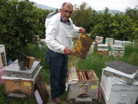 Eşine şifa ararken gezgin arıcı oldu