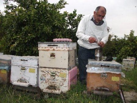 Eşine şifa ararken gezgin arıcı oldu