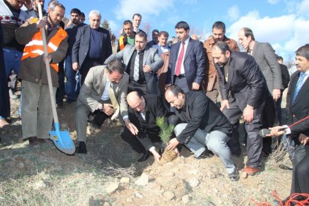Eski Belediye Başkanı Yanılmaz anısına hatıra ormanı oluşturuldu