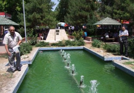 Eski Tiryakiler, Sigara Parasıyla Kuşları Besliyor