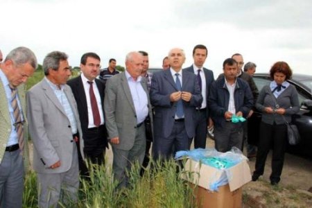 Eskikaraağaç köyünde süne yumurta parazitoidi salımı yapıldı