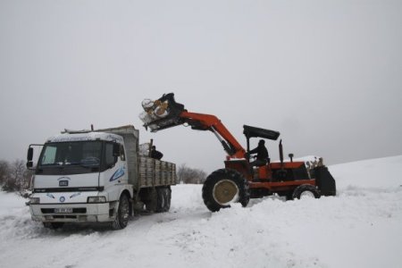 Eskişehir Orman Bölge Müdürlüğü Kapalı Köy Yollarını Açıyor
