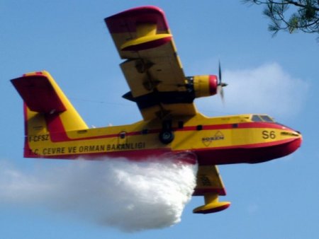 Eskişehir’de 20 Hektarlık Ağaçlandırma Sahası Yandı