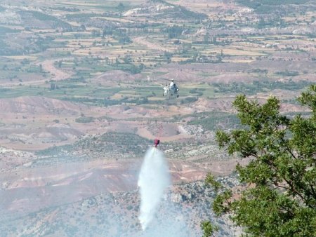 Eskişehir’de 20 Hektarlık Ağaçlandırma Sahası Yandı