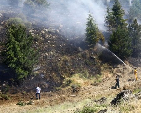 Eskişehir’de 3 orman yangınında 12 hektar alan kül oldu