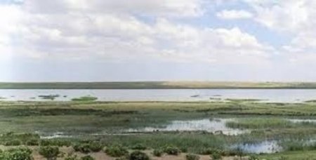 Eşmekaya Sazlığı bir zamanlar göldü, çöl oldu