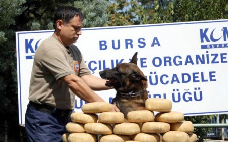 Esrar satıcısı, park halindeki otomobile çarpınca yakalandı
