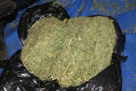 Eşya kamyonundan 105 kilogram esrar çıktı