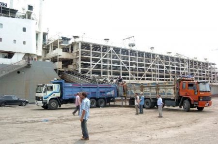 Et Ve Balık Kurumu, Marketlere Kilosu 12 Tl'den Et Satacak