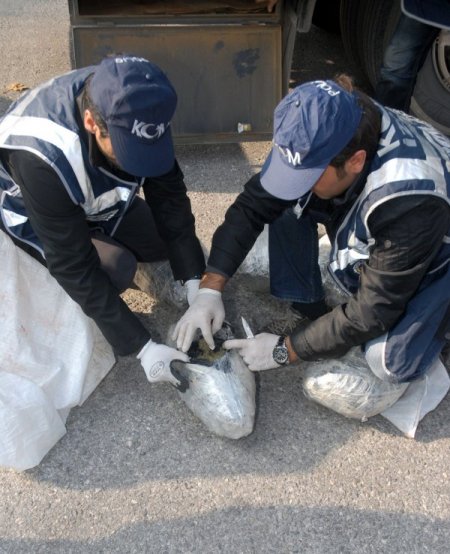 Et yüklü kamyondan esrar çıktı