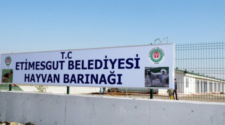 Etimesgut’a yeni hayvan barınağı