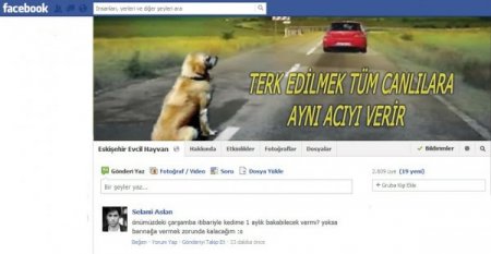 Evcil hayvanları sosyal medya üzerinden sahipleniyorlar