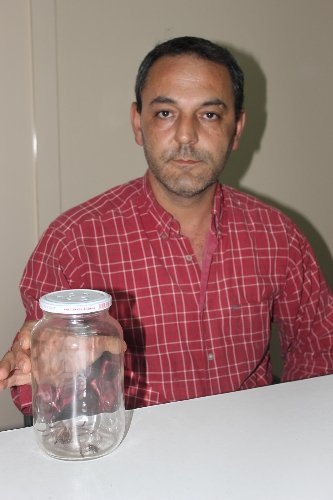 Evinde 15 santimlik dev örümcek buldu