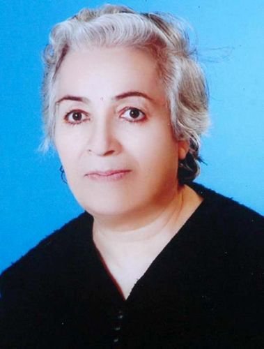 Evinde Öldürülen Felçli Kadının Katil Zanlıları Kiracısı Ve Arkadaşları Çıktı
