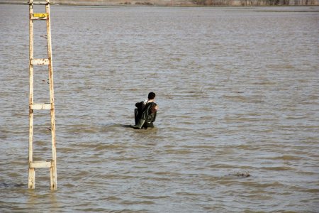 Evler, karın erimesi ile taşan suların ortasında kaldı