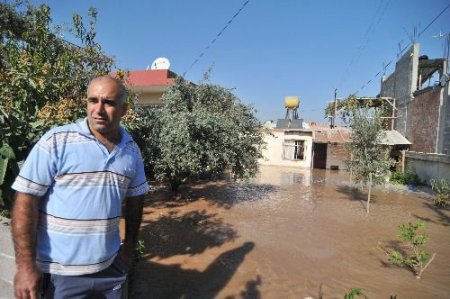 Evlerin Altından Geçen Ana Su Borusu Patladı, Evleri Su Bastı