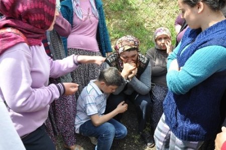 Evlerinin yanmasını gözyaşları içinde izlediler