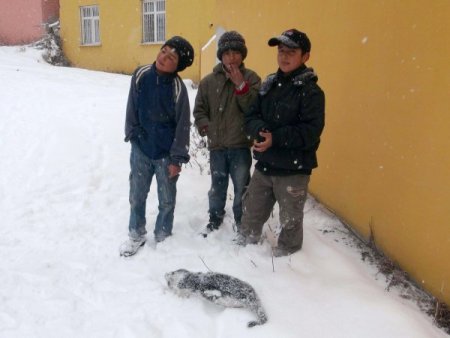 Evliya Çelebi'nin Seyahatname'de anlattığı olay Ardahan'da gerçek oldu