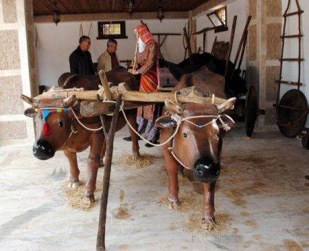 Evrenseki Kültür Evi'ndeki eşyalar 'Yörük' hayatını canlı tutuyor