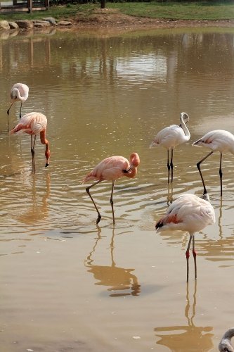Exponun ilk ayında ziyaretçi sayısı bir milyonu aştı