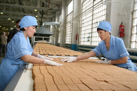 Fabrikayı Kazakistan’a taşıdı, bölgenin lideri oldu